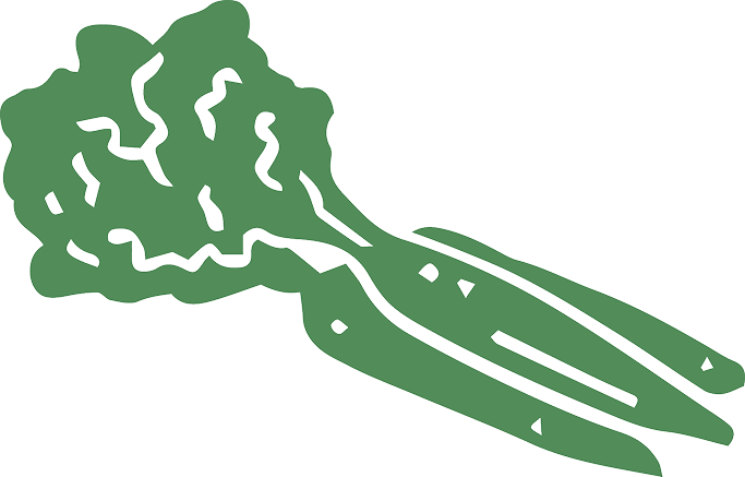 Illustration einer Möhre in grün