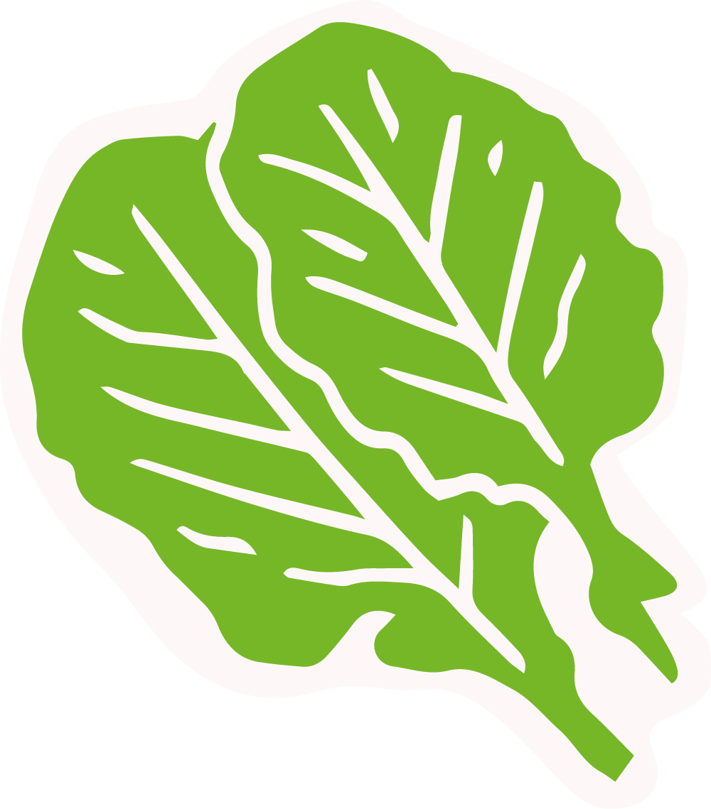 Illustration Salat EAT OW