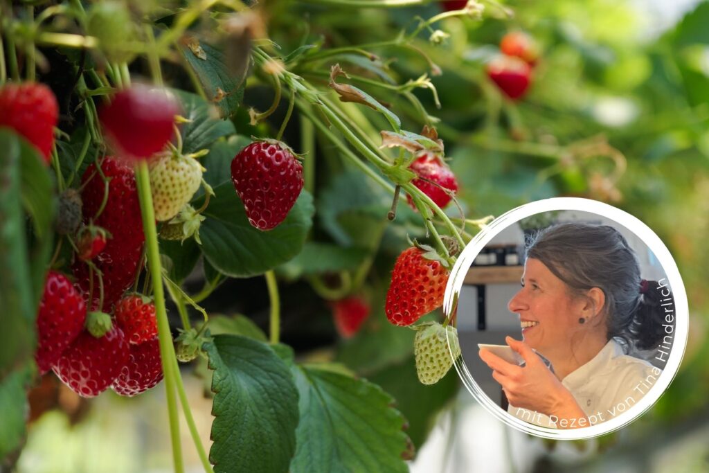 Saisonkalender Juni mit Erdbeeren