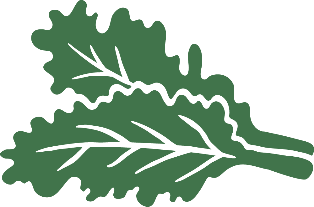 Grünkohl Icon