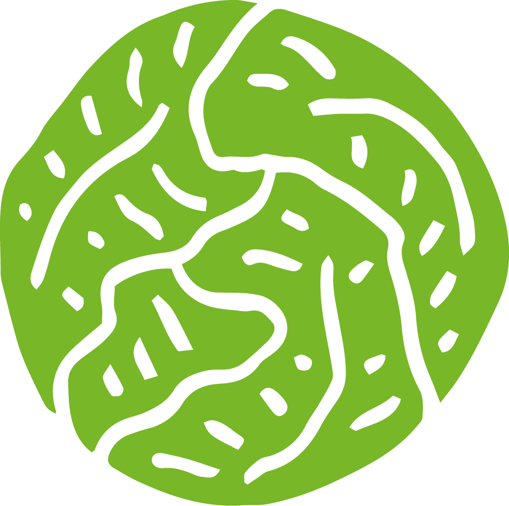 Salatkopf Icon