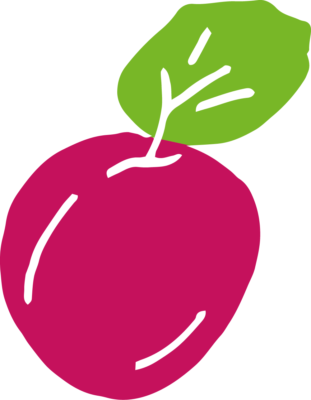 Radieschen Icon